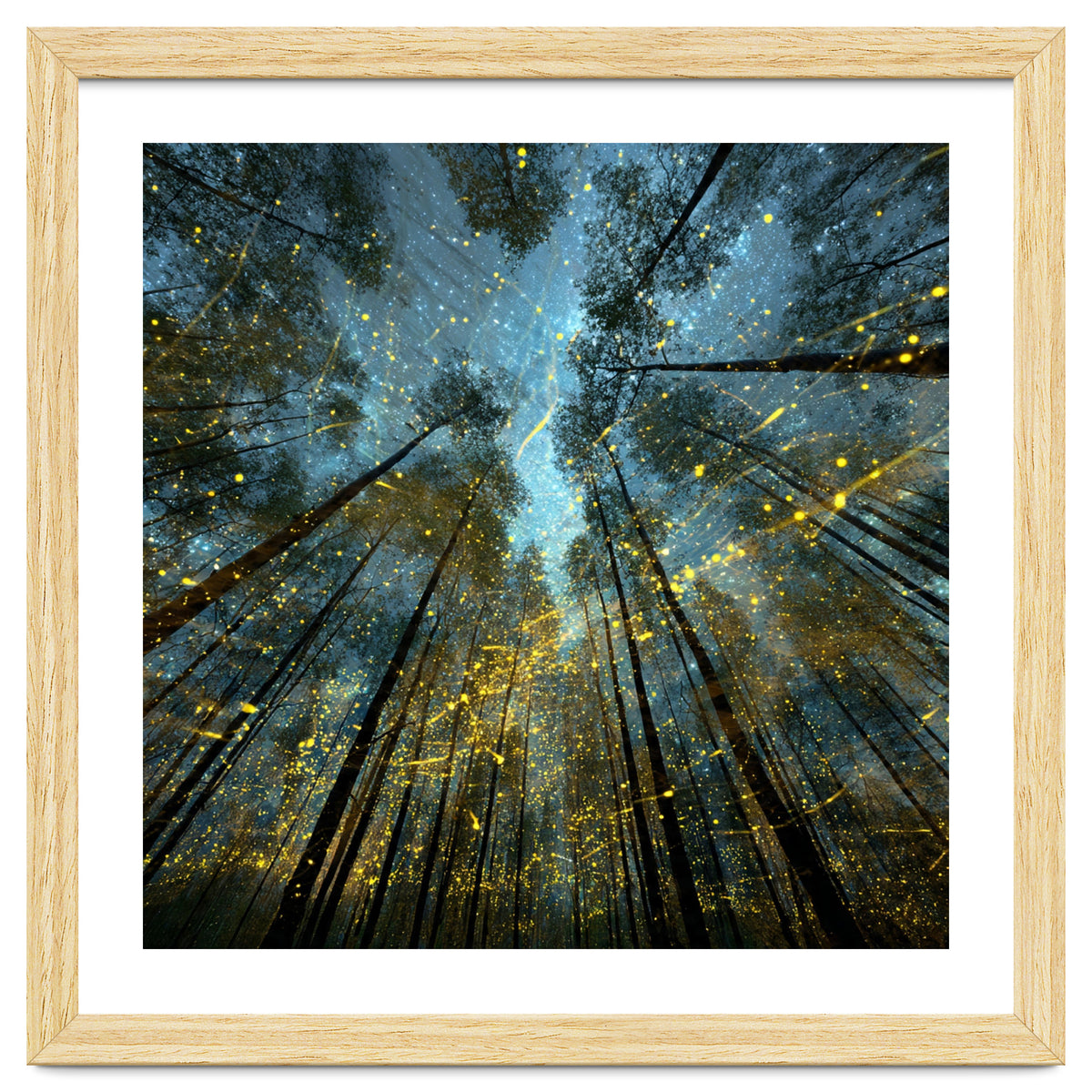 Enchanted Night Forest with Glowing Fireflies