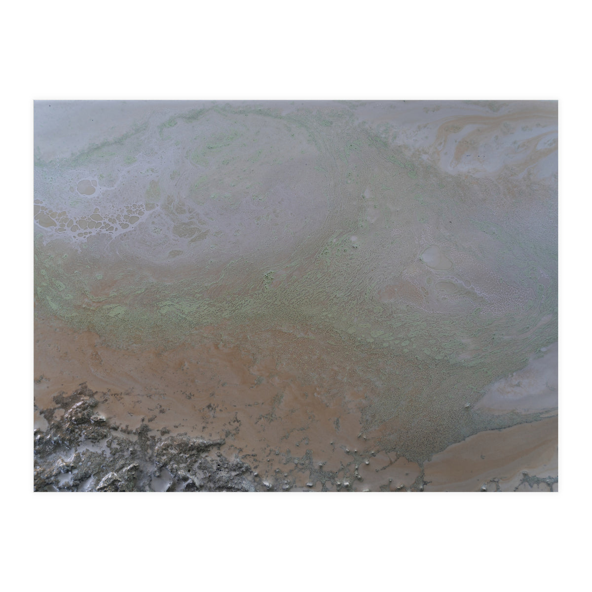 Illuminated (Print Only)