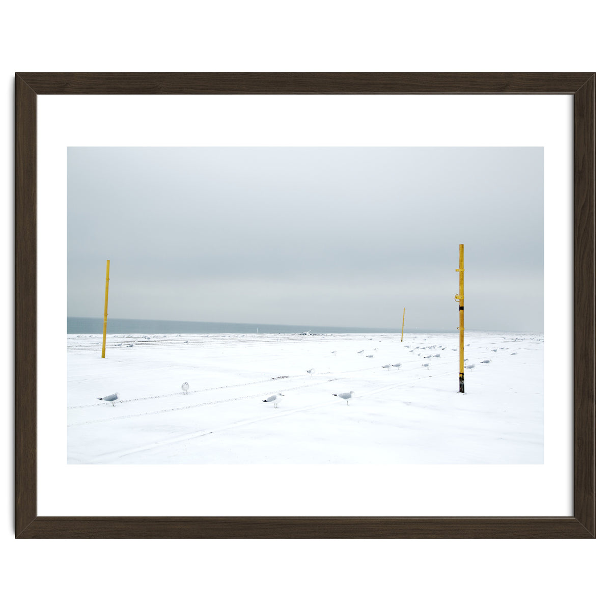 Seagulls in between the volleyball poles in winter snow beach