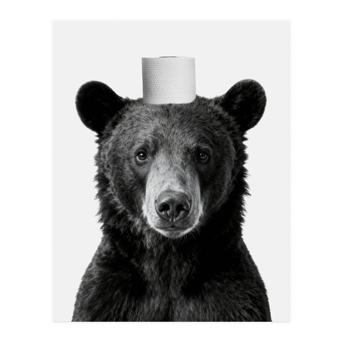 Bear, Toilet Paper Crown, Nursery Animal Art for Children (Print Only)