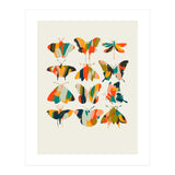 Colorful Butterflies (Print Only) thumbnail