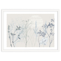 Plant based calming atmosphere soft blue