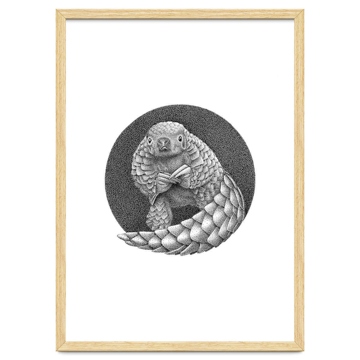 Pangolin no. 1