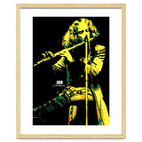 Ian Anderson Musician Legend thumbnail