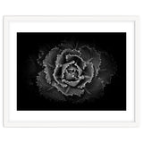 Backyard Flowers In Black And White No 101 thumbnail
