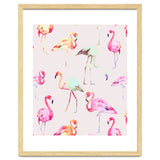 Flamingo Formation thumbnail