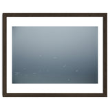 Flying Segulls in thet winter sky thumbnail