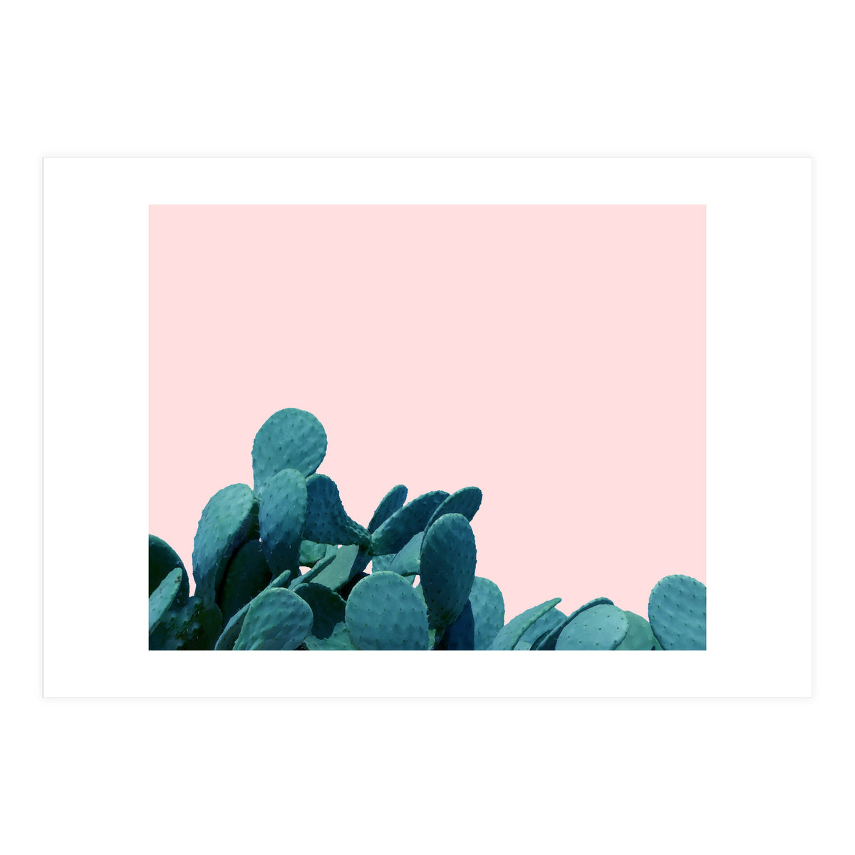 Kaktos (Print Only)