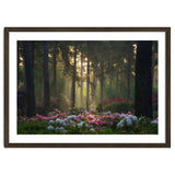 Rhododendron forest thumbnail