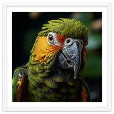 Close Up Of A Colorful Macaw Parrot Face thumbnail
