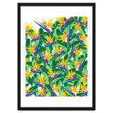 Summer Strelitzia thumbnail