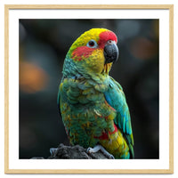 Vibrant Amazon Parrot Perched On A Branch