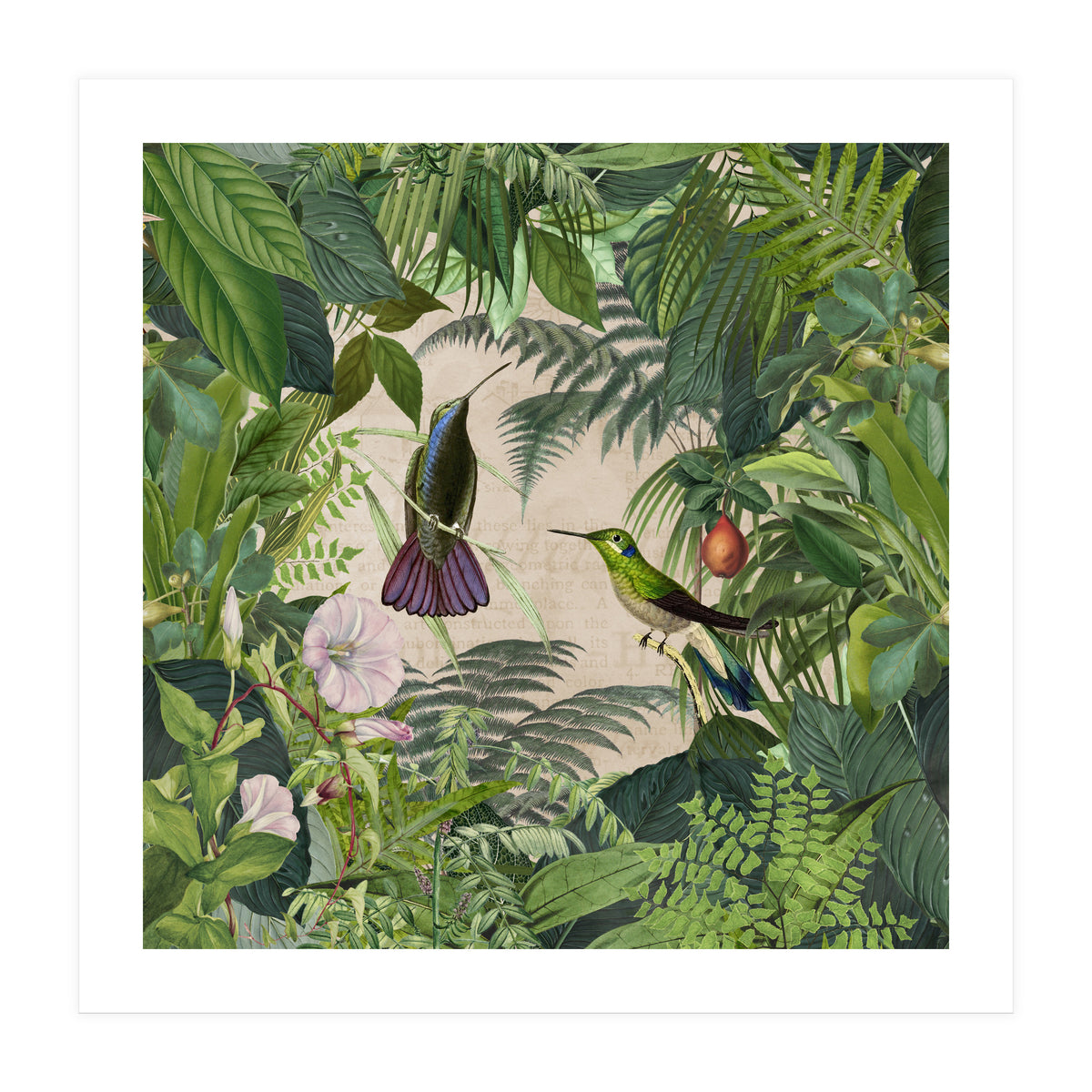 Tropical Hummingbird Jungle (Print Only)