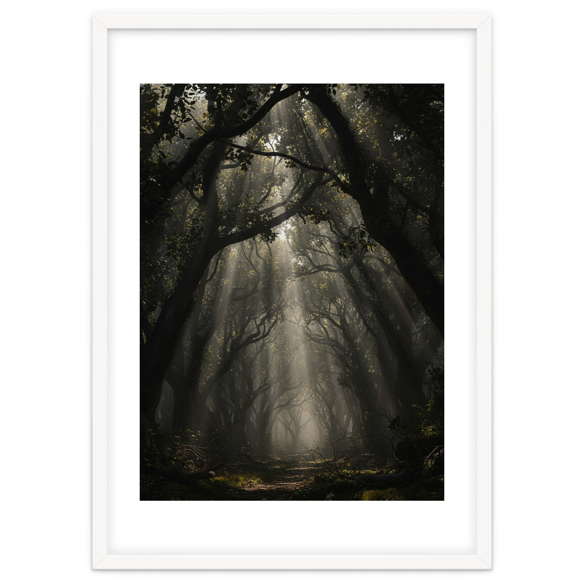 Enchanted Canopy: Mystical Forest Path