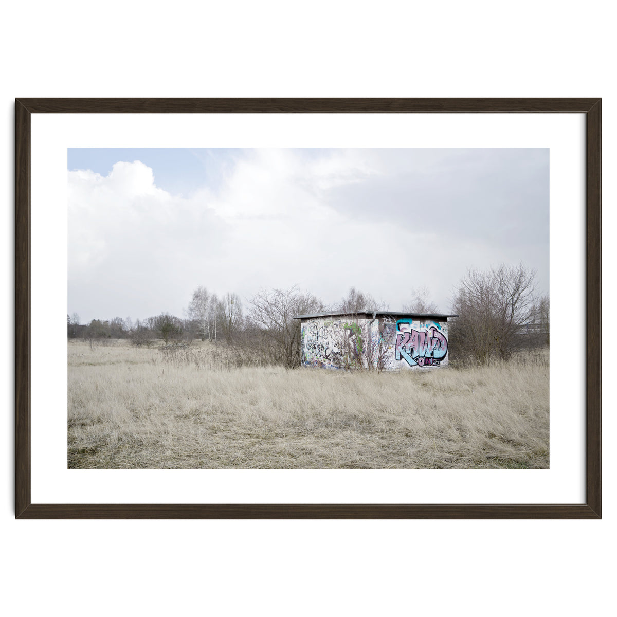 Graffiti barn in the middle of nowhere