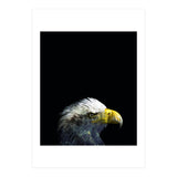 What It A Dream (Print Only) thumbnail