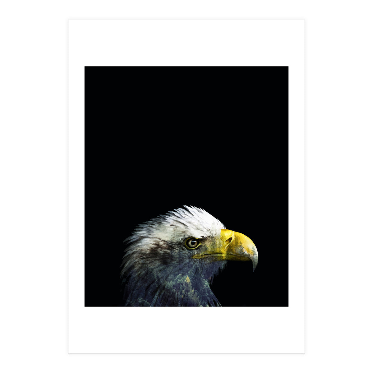 What It A Dream (Print Only)