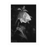 Camila | Black & White (Print Only) thumbnail
