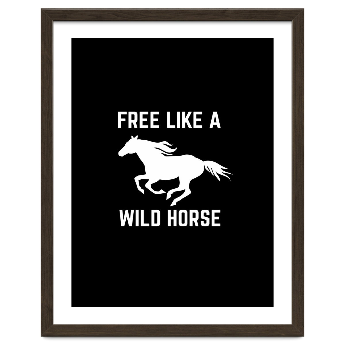 Free like a wild horse