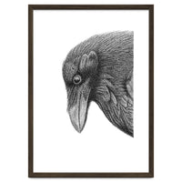 Huginn