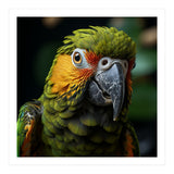 Close Up Of A Colorful Macaw Parrot Face (Print Only) thumbnail