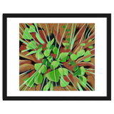 Meadow at spring thumbnail