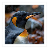 King Penguin In Rain With Water Drops (Print Only) thumbnail