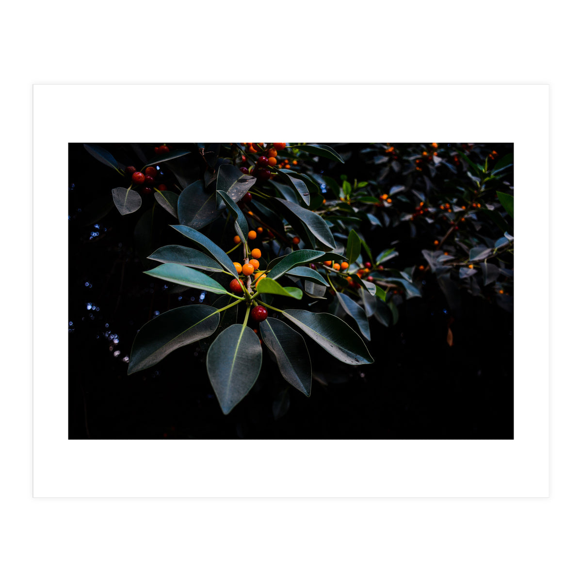 Orange, Green and Dark (Print Only)