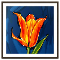 Lily Fresh