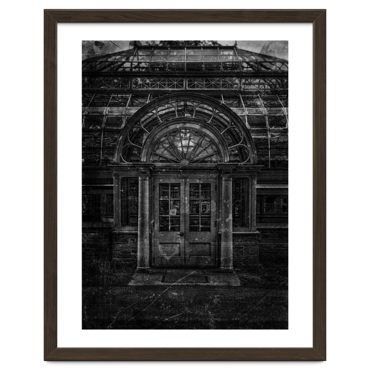 Allan Gardens Conservatory Palm House No 5 Old Film Version