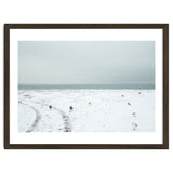 Seagulls in the winter snow beach thumbnail