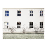 Small trees in between the windows  (Print Only) thumbnail
