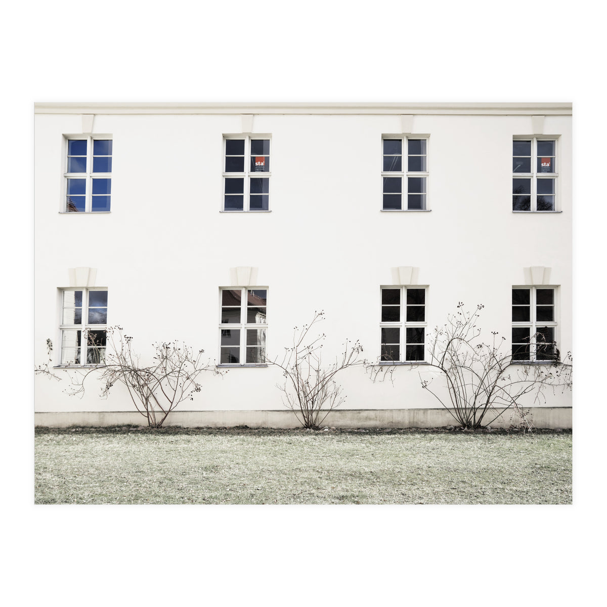 Small trees in between the windows  (Print Only)