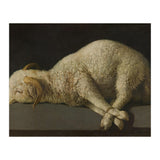 Francisco de Zurbarán / 'Agnus Dei (The Lamb of God)', 1635-1640, Spanish School. (Print Only) thumbnail