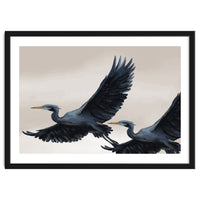Migrating Herons