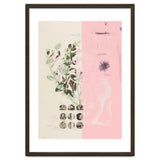 The First Plant · Mix It Up Sunday thumbnail