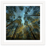 Enchanted Night Forest with Glowing Fireflies thumbnail