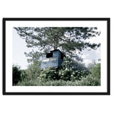 Blue hut on the tree thumbnail