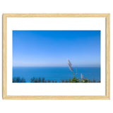 Blue thumbnail
