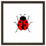 Lady Bug thumbnail