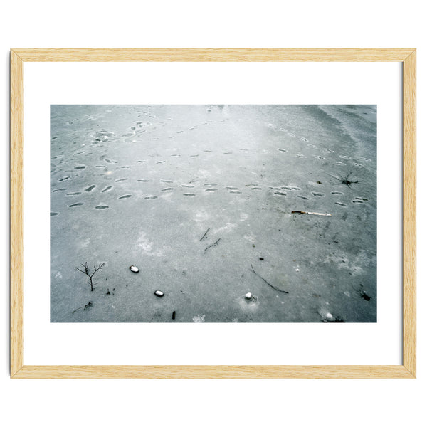 Frozen ice pond