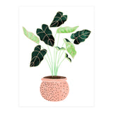 Home Plant | Ceramic Botanical Planter Illustration | Minimal Bohemian Watercolor Painting Polka Dot (Print Only) thumbnail