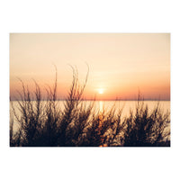 Orange Heatwave 2 (Print Only)