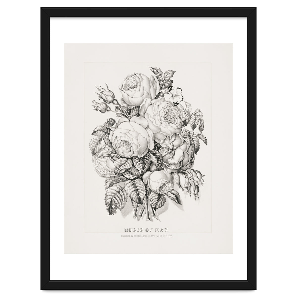 Currier & Ives – Rose of May (1870)