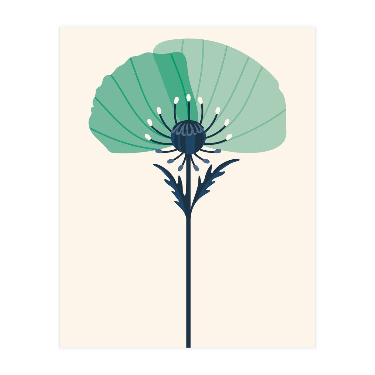 Teal Half Poppy (Print Only)