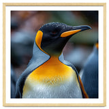 King Penguin With Water Droplets On Its Head thumbnail