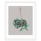 Hanging Plant thumbnail