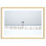 Fake palm tree in the winter snow beach thumbnail
