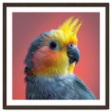 Cockatiel Parrot Head Close Up Portrait thumbnail