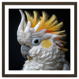 Close Up Cockatoo Portrait Yellow Crested Bird thumbnail